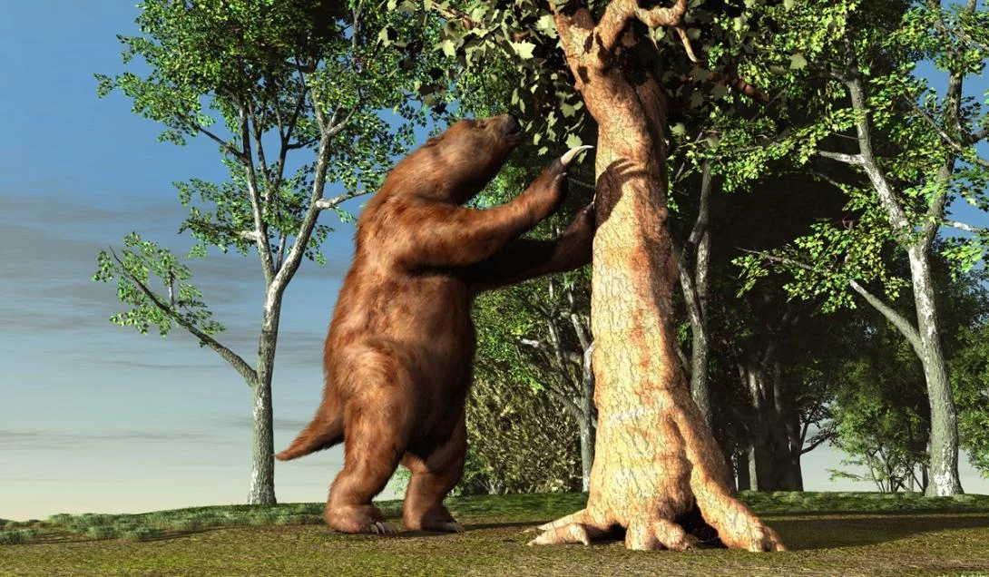 Megafauna sobreviveu milhares de anos no Brasil, revela estudo