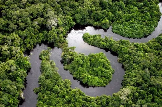 DESTRUIÇÃO FLORESTAL Desmatamento na Amazônia Legal cresce 68% em janeiro deste ano