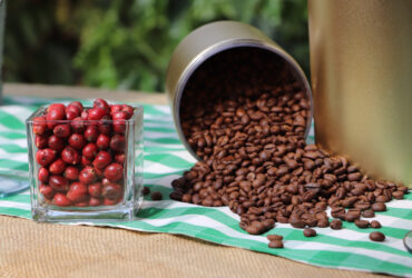 Destaques das ações do governo de RO de 3 a 7 de fevereiro